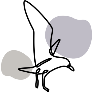 41