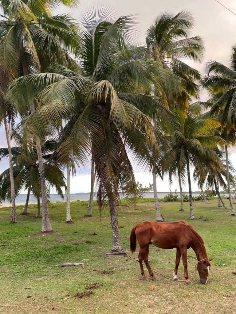 Trinidad