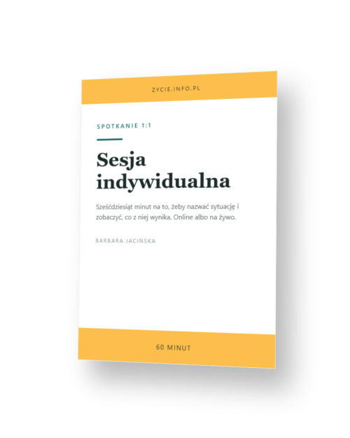 sesja indywidualna 1:1 (60 minut)